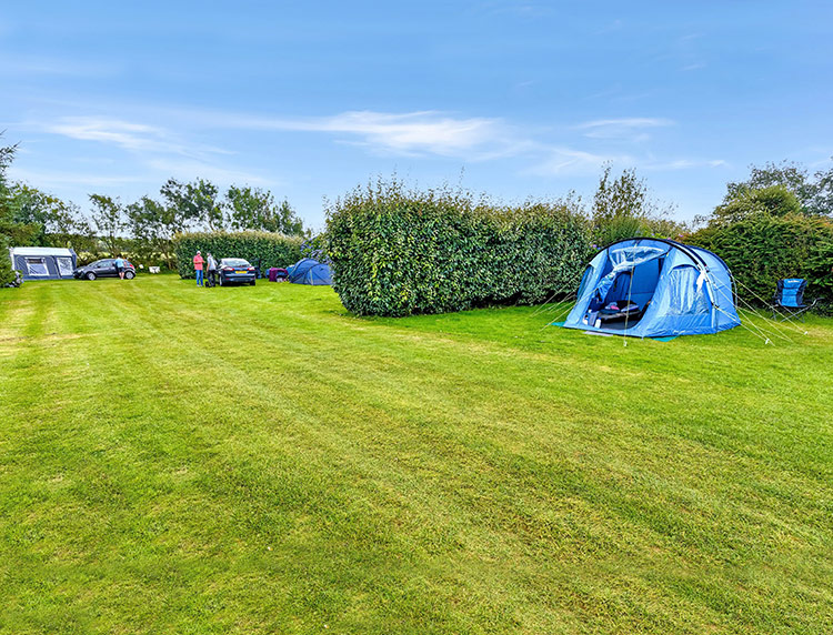 NON SERVICED GRASS PITCH