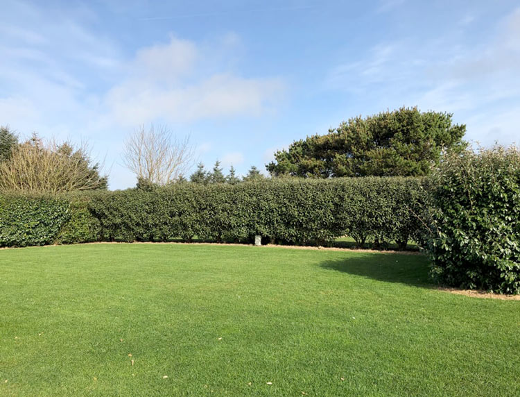 NON SERVICED GRASS PITCH