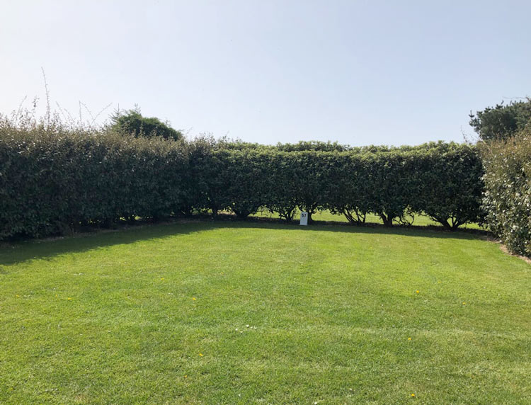 NON SERVICED GRASS PITCH