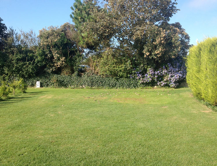 NON SERVICED GRASS PITCH