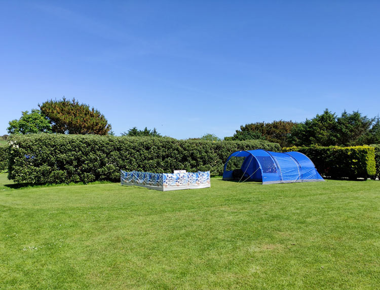 Extra Large Grass Serviced Pitch