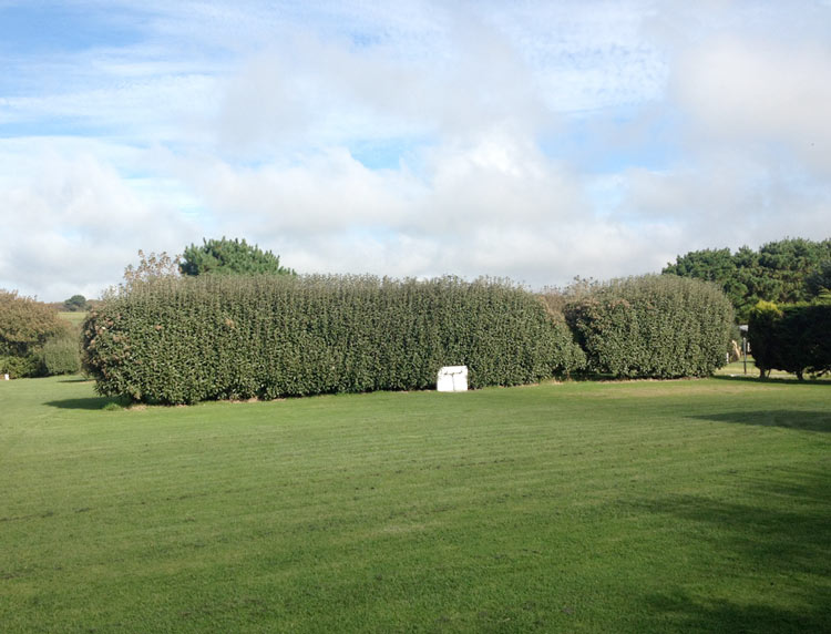 Extra Large Grass Serviced Pitch