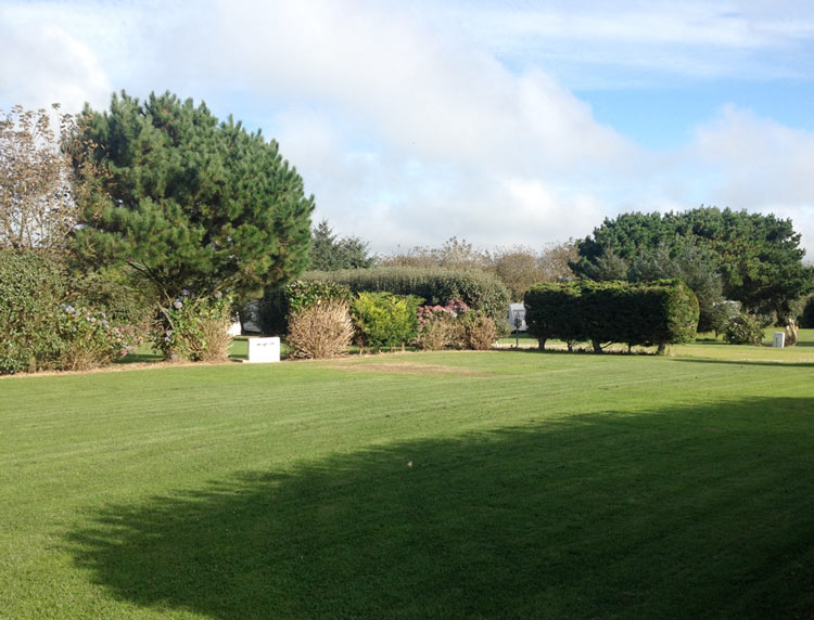 Extra Large Grass Serviced Pitch