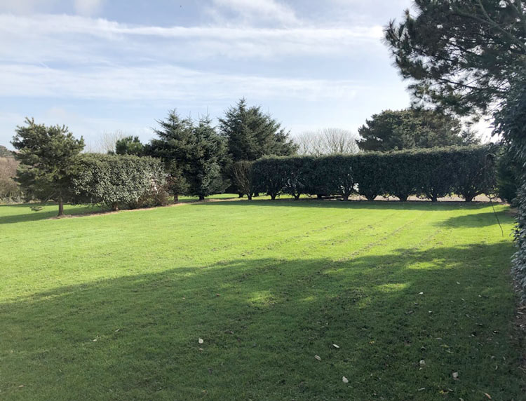 Extra Large Grass Serviced Pitch